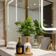 Bathroom counter with skincare products, towels, and a plant