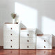 Modern Portable Storage Drawer Cabinet